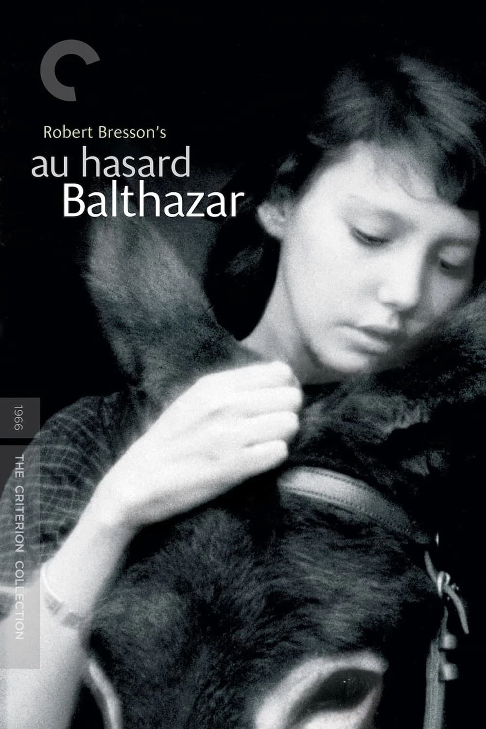 Chú Lừa Balthazar | Au hasard Balthazar (1966) Chú Lừa Balthazar | Au hasard Balthazar (1966)