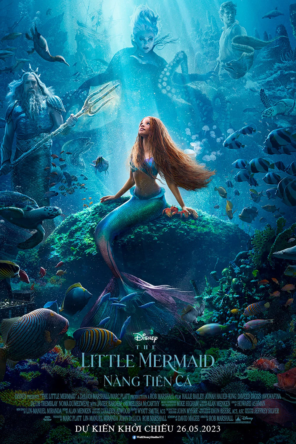 Nàng Tiên Cá | The Little Mermaid (2023) Nàng Tiên Cá | The Little Mermaid (2023)